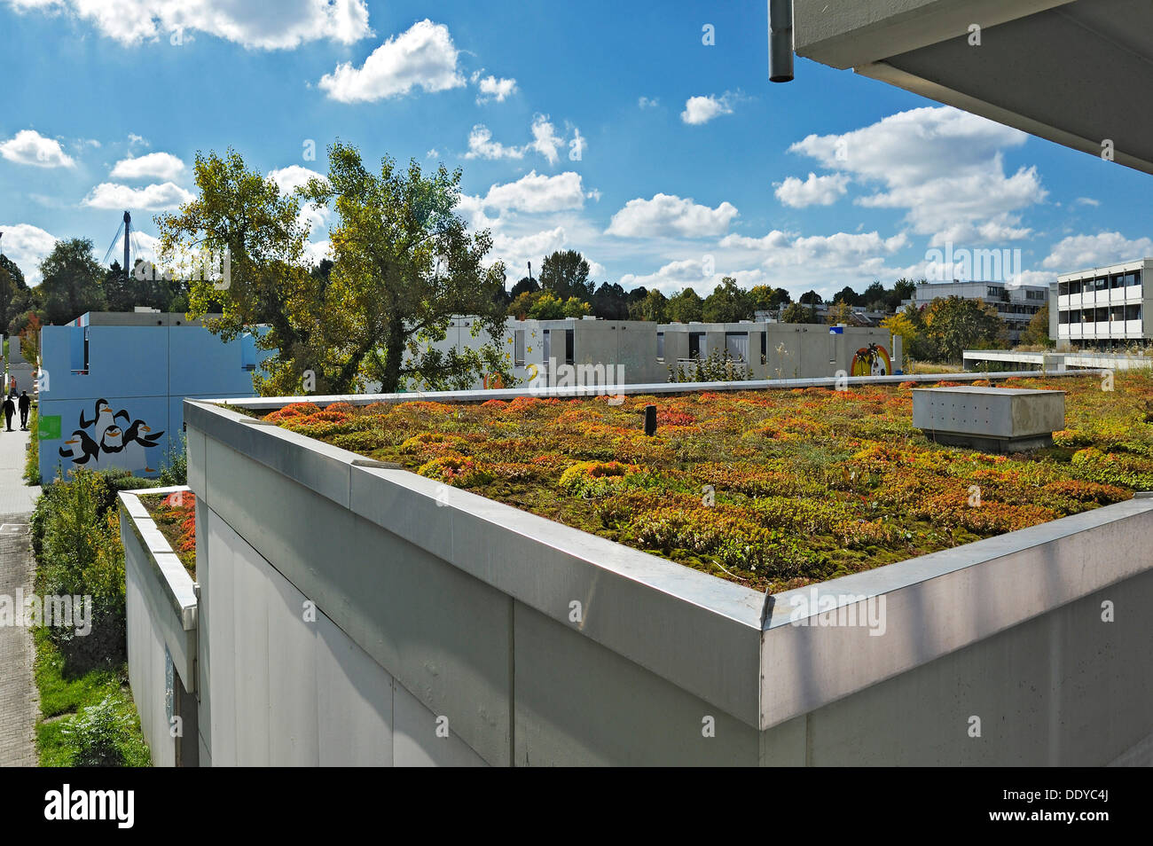 House with a green flat roof in the former Olympic Village, Munich, Bavaria Stock Photo