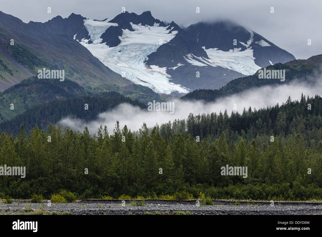 Glaciers vegetation hi-res stock photography and images - Alamy