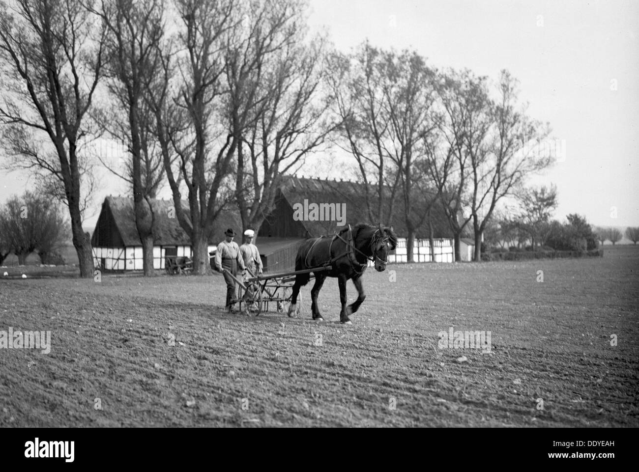 Horse drawn harrow hires stock photography and images Alamy