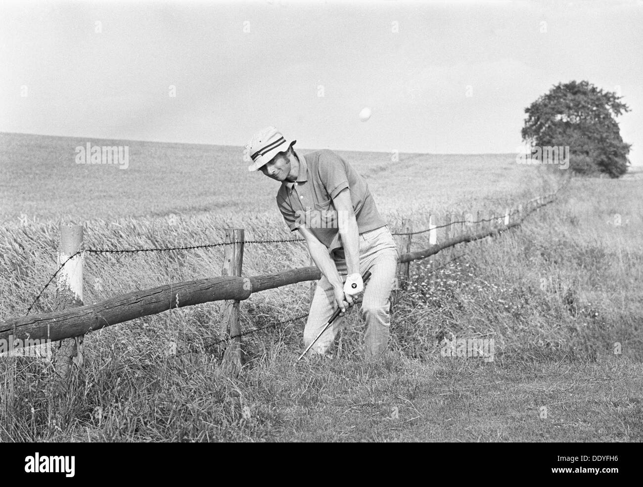 Golfer playing from a bad lie in deep rough, nearly out of bounds, Sweden, 1969. Artist: Unknown Stock Photo