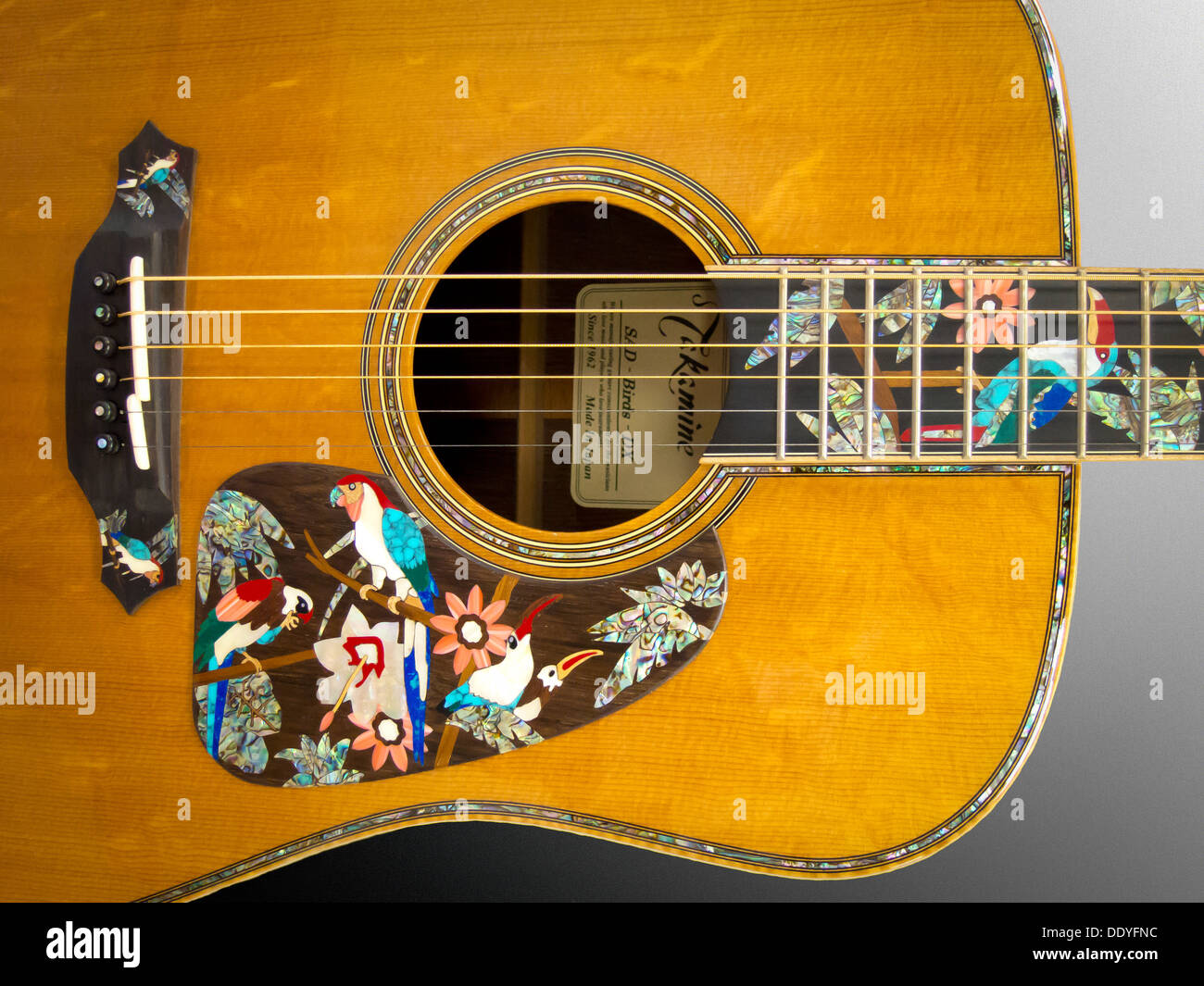 Takamine guitar manufacturer japan hires stock photography and images