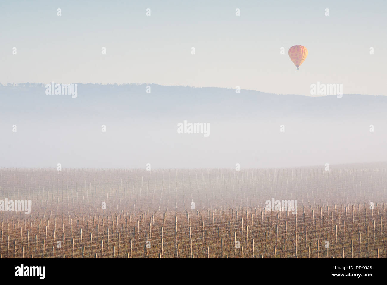 Hot Air Balloon at Sunrise over the Yarra Valley In Winter Stock Photo