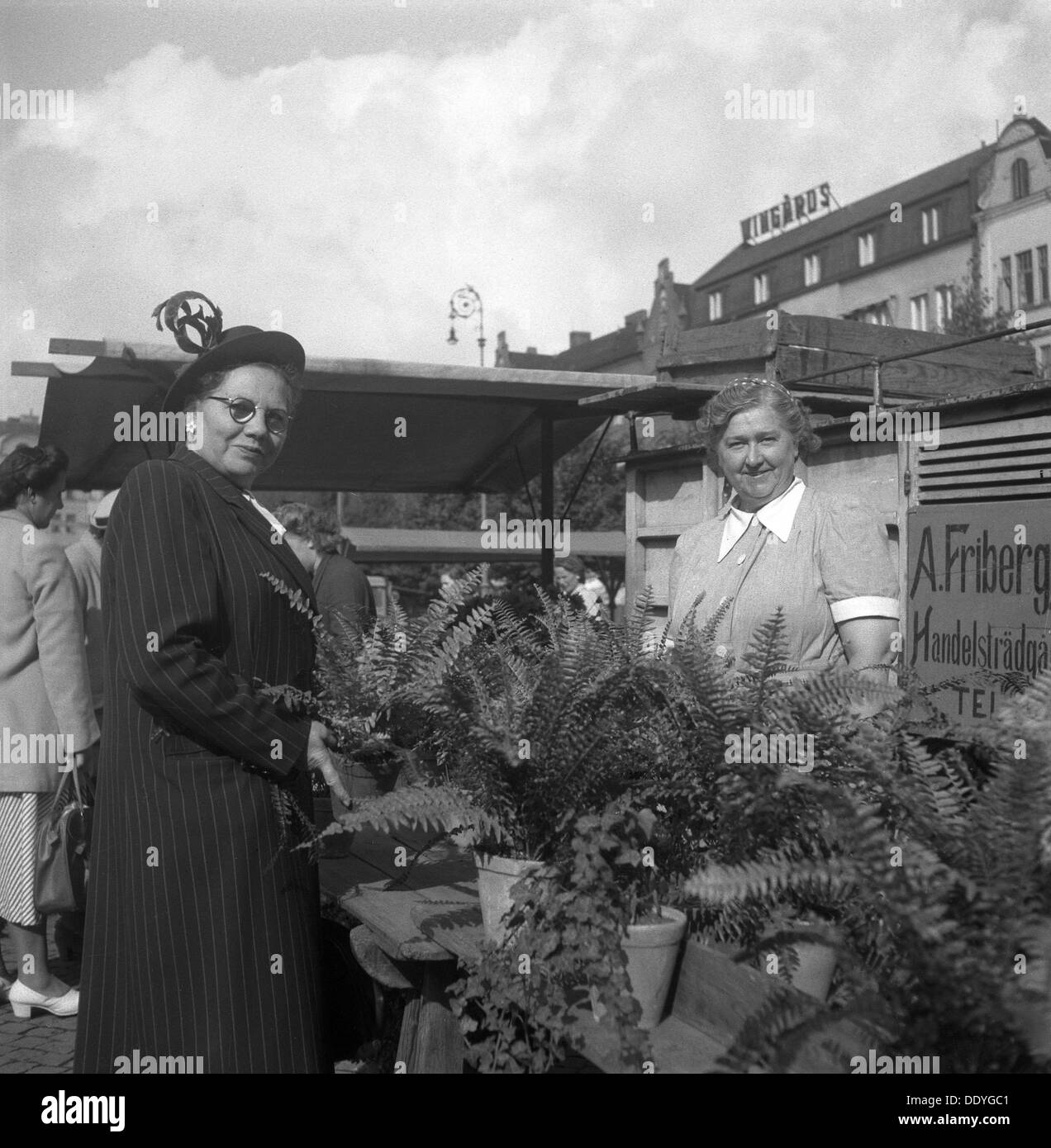 Potted plant stall in the market, Malmö, Sweden, 1947. Artist: Otto Ohm Stock Photo