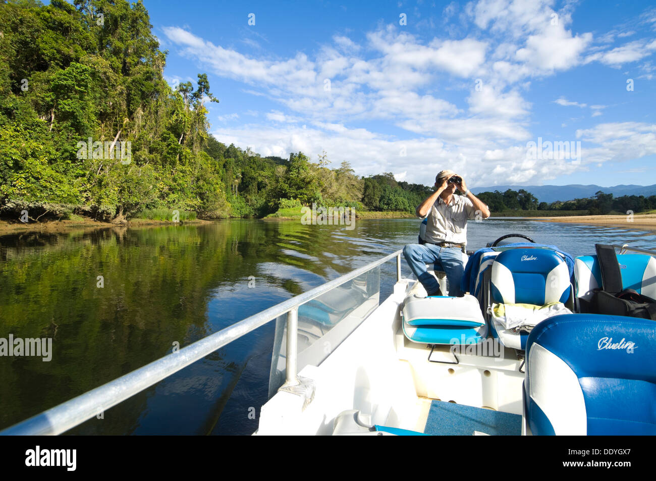 Birdwatching on the Daintree River Northern Queensland Australia Stock ...