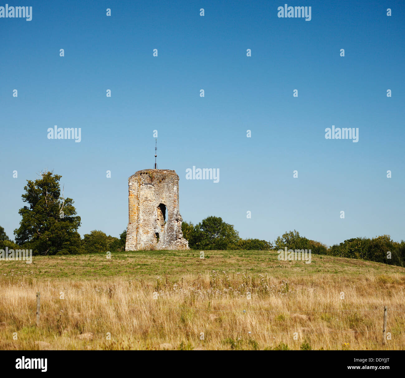 Knepp Castle remains Stock Photo - Alamy