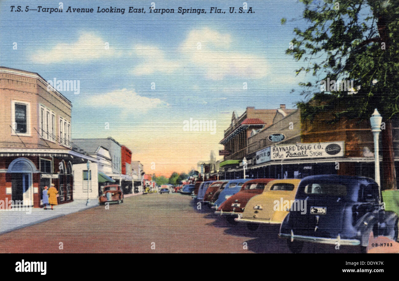 Tarpon avenue hires stock photography and images Alamy