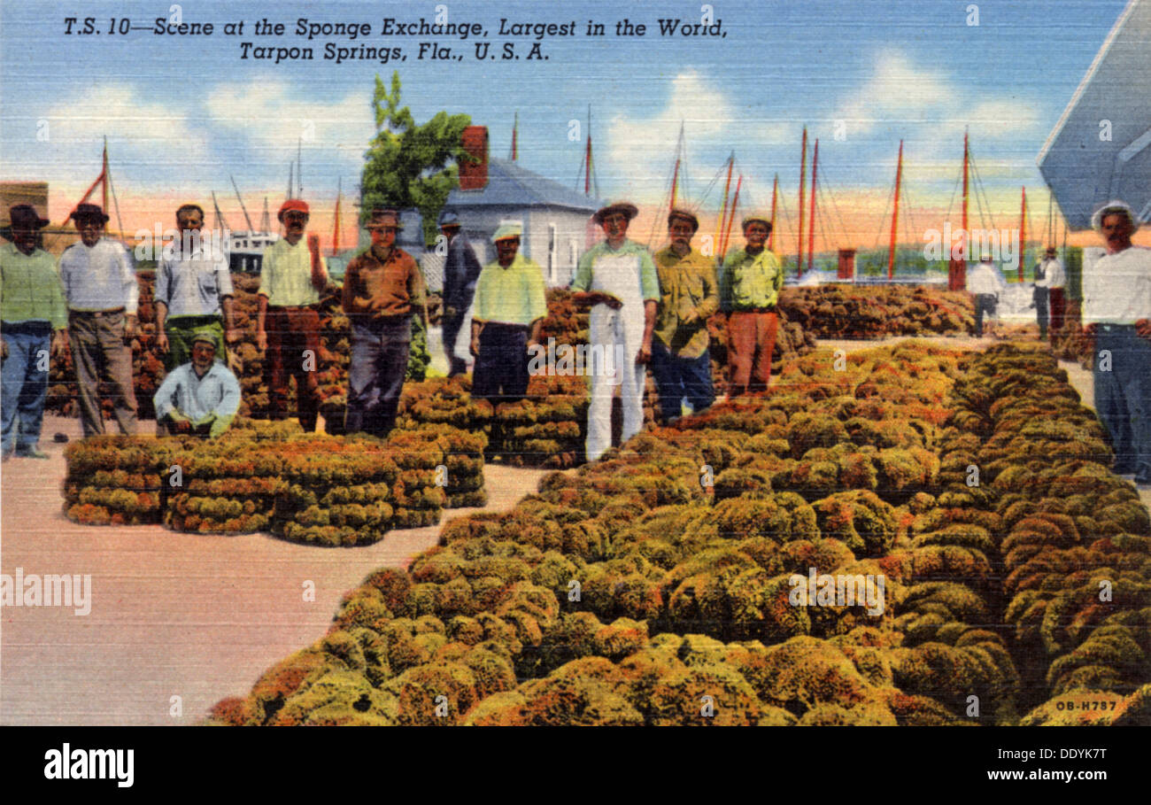 Scene at the sponge exchange, Tarpon Springs, Florida, USA, 1940. Artist: Unknown Stock Photo