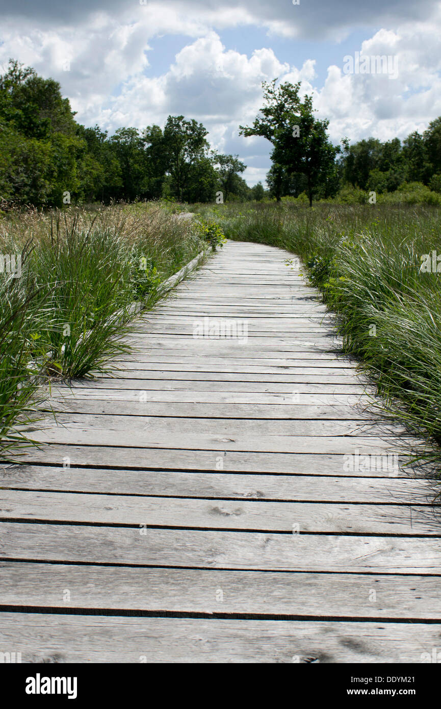 Boardwalk, nature reserve, moorland, 'Ewiges Meer', East Frisia, Lower Saxony Stock Photo