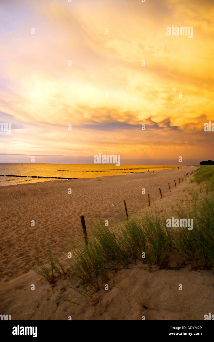 Beach at sunset, Fischland-Darss-Zingst peninsula, Baltic Sea, Mecklenburg-Western Pomerania Stock Photo