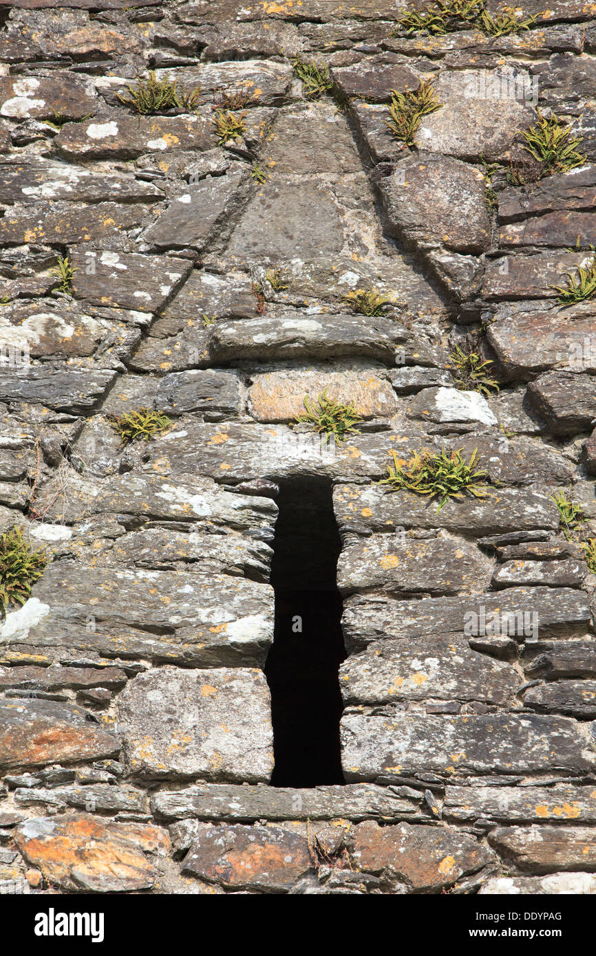 Detail of a window of St. Kevin's Church in Glendalough (County Wicklow), Ireland Stock Photo