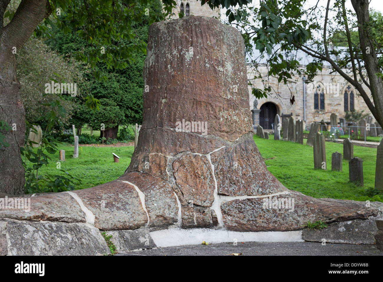 Fossil Tree Stump of the Sigillarai species of Tree in the Village of Stanhope Weardale County Durham UK Stock Photo