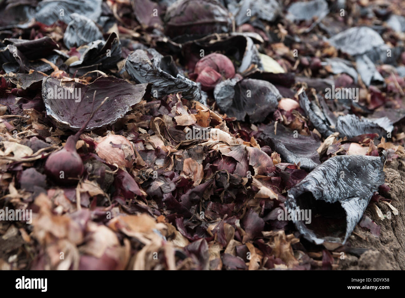 Plant waste hi-res photography and images - Alamy