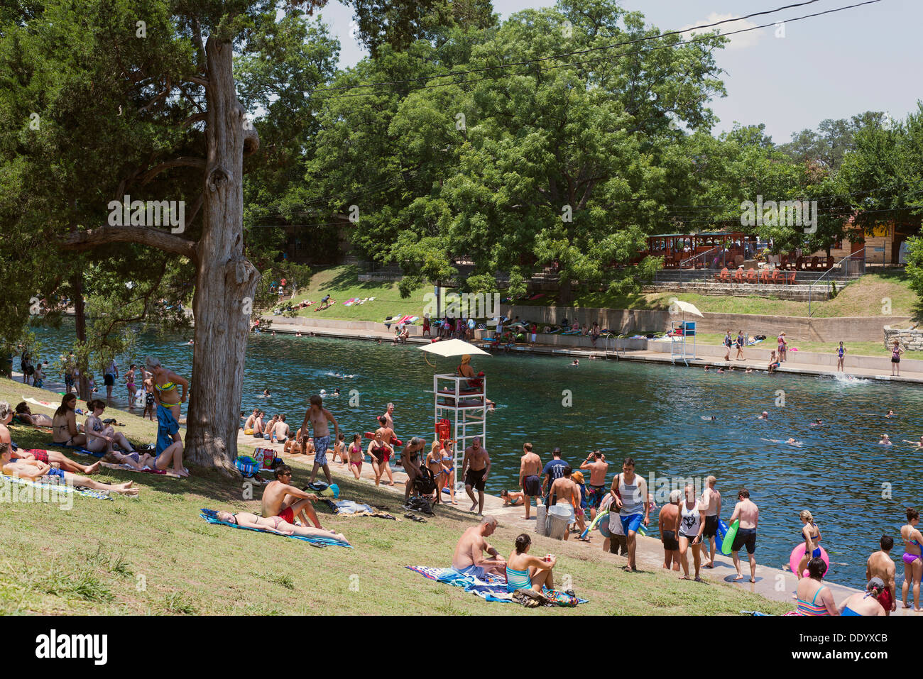People hanging out at Barton Springs in Austin Texas. Stock Photo