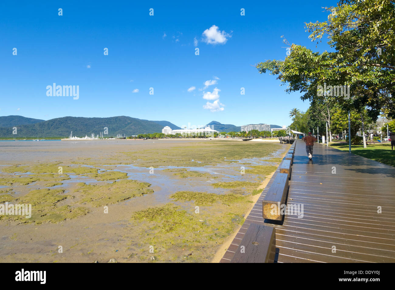 Trinity Bay Cairns Queensland High Resolution Stock Photography And Images Alamy