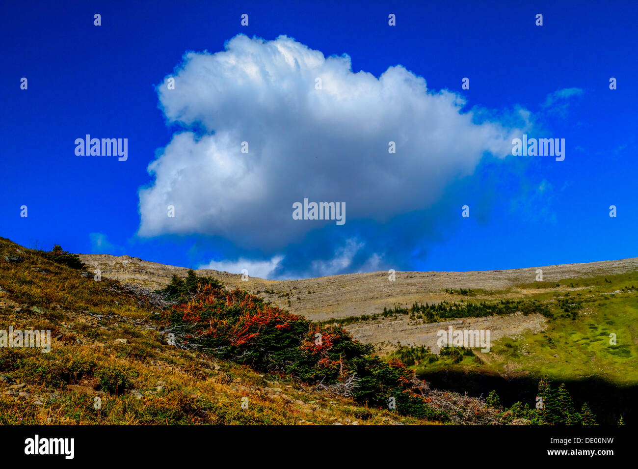 A white cloud bank hanging along a mountain ridge, Pretty, scenic landscape with rich colors Stock Photo