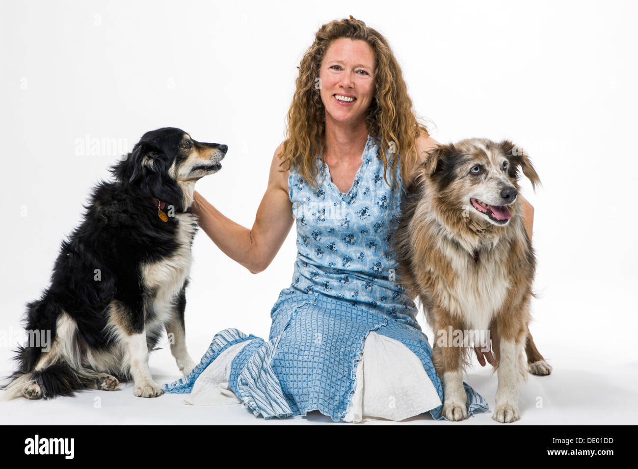 Studio photograph of attractive woman with two pet dogs, a Border Collie mix and Australian Shepherd mix Stock Photo