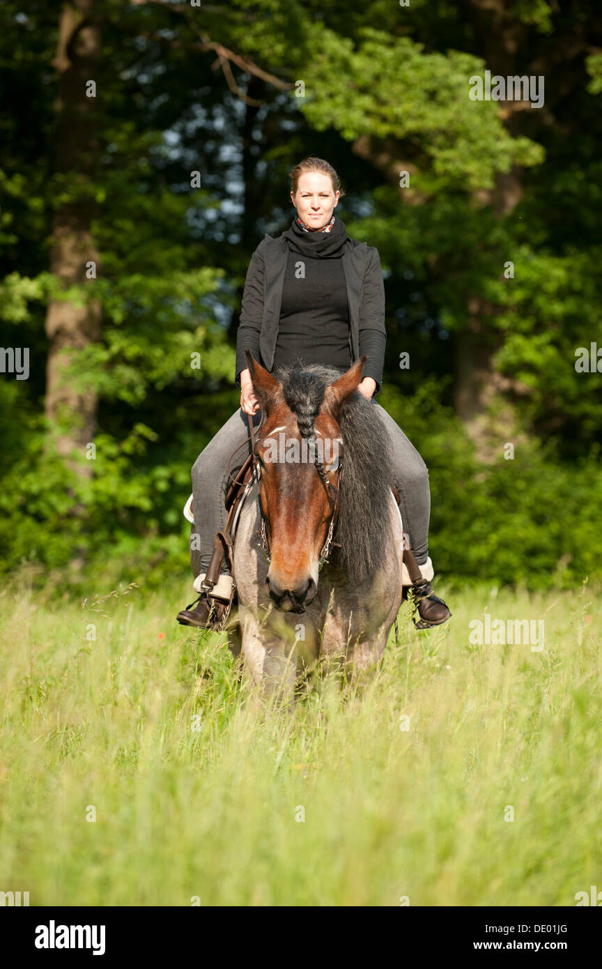 Woman riding a Belgian Draft horse in a meadow Stock Photo