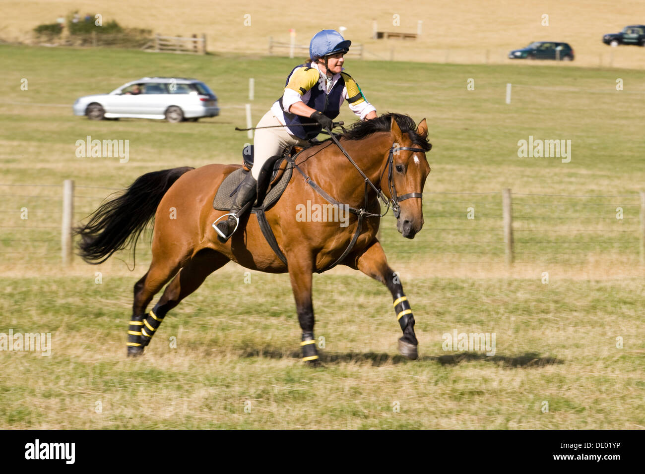 Warwickshire Hunt British equestrian Team Chase and Hunter trials Stock