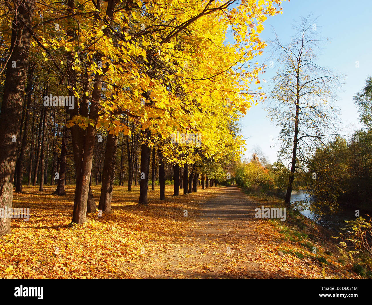 Park in the fall Stock Photo - Alamy