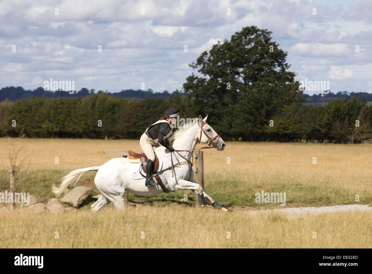 Warwickshire Hunt British equestrian Team Chase and Hunter trials Stock