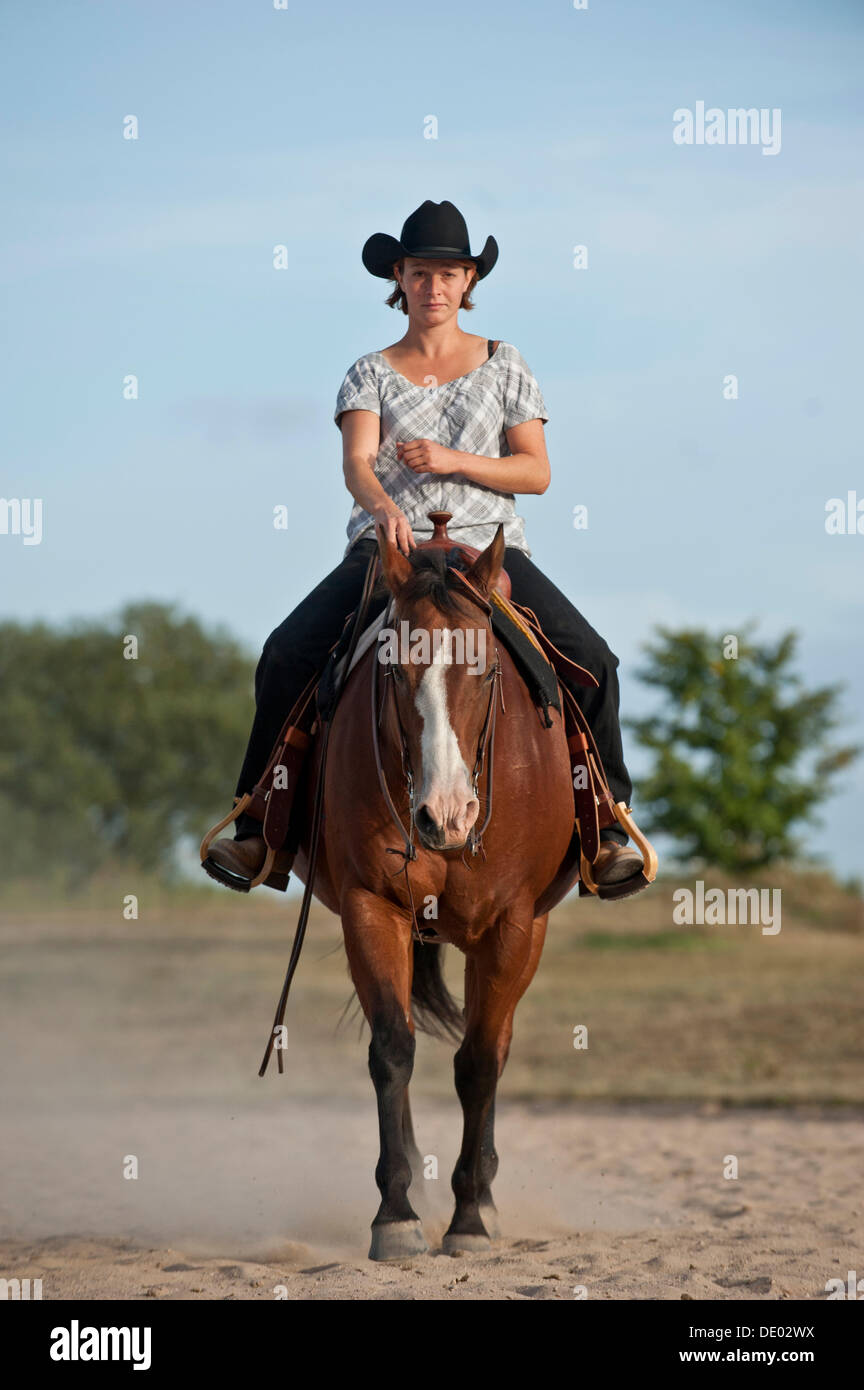 Woman riding a trotting Quarter Horse Stock Photo Alamy