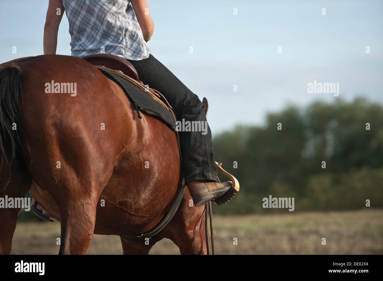 Western style riding hires stock photography and images Alamy