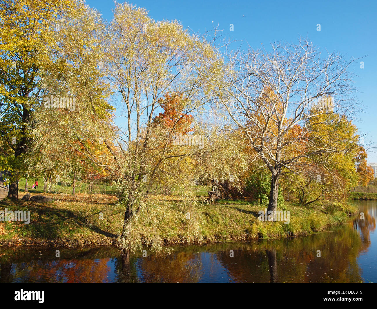 Park in the fall Stock Photo - Alamy