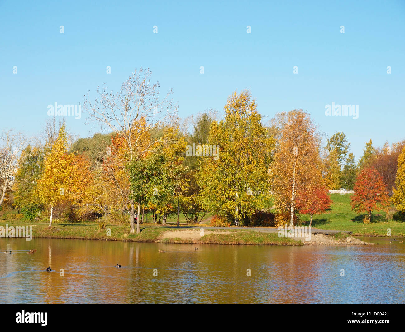 Park in the fall Stock Photo - Alamy