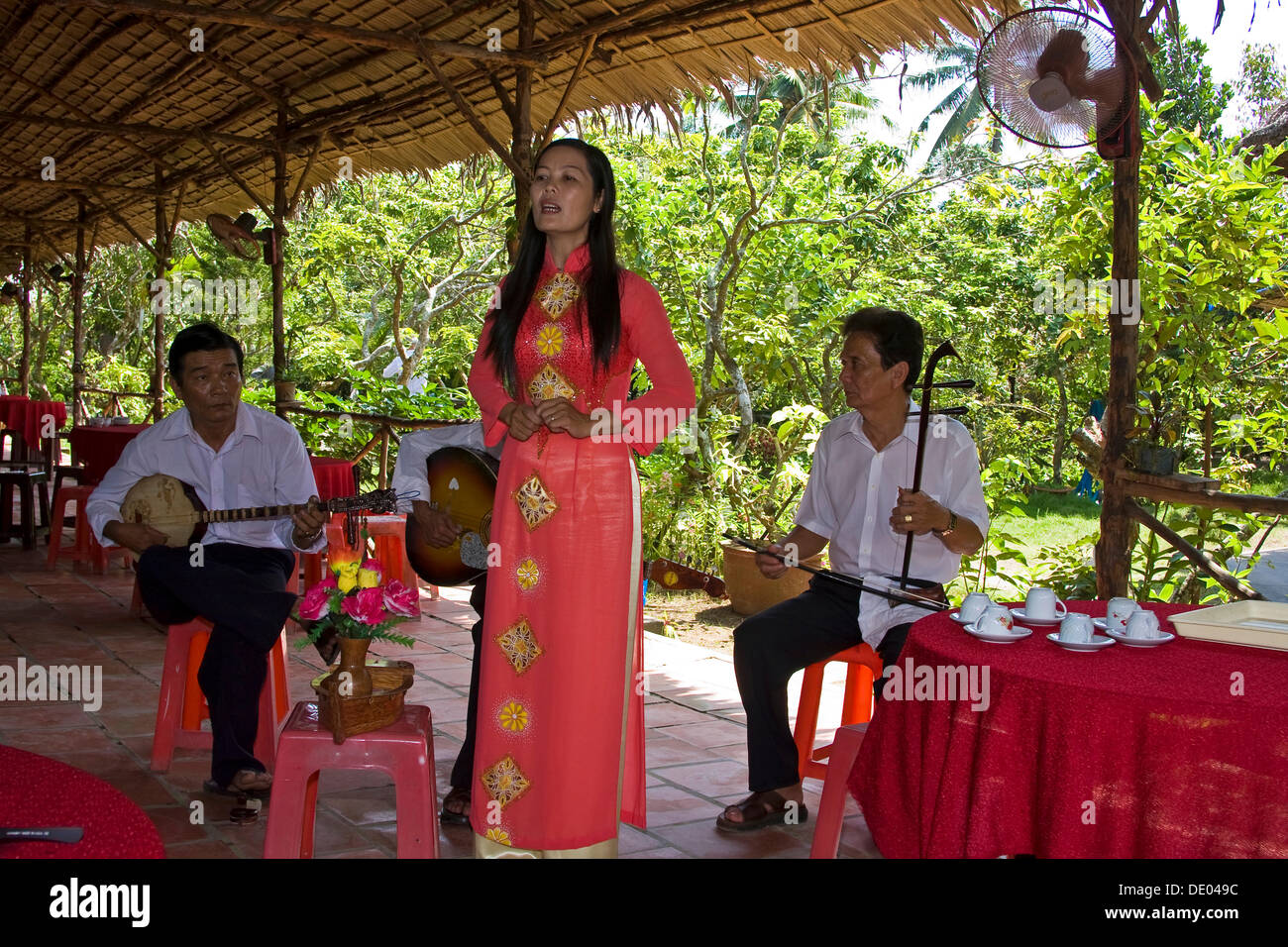 Traditional vietnamese musical instruments hires stock photography and