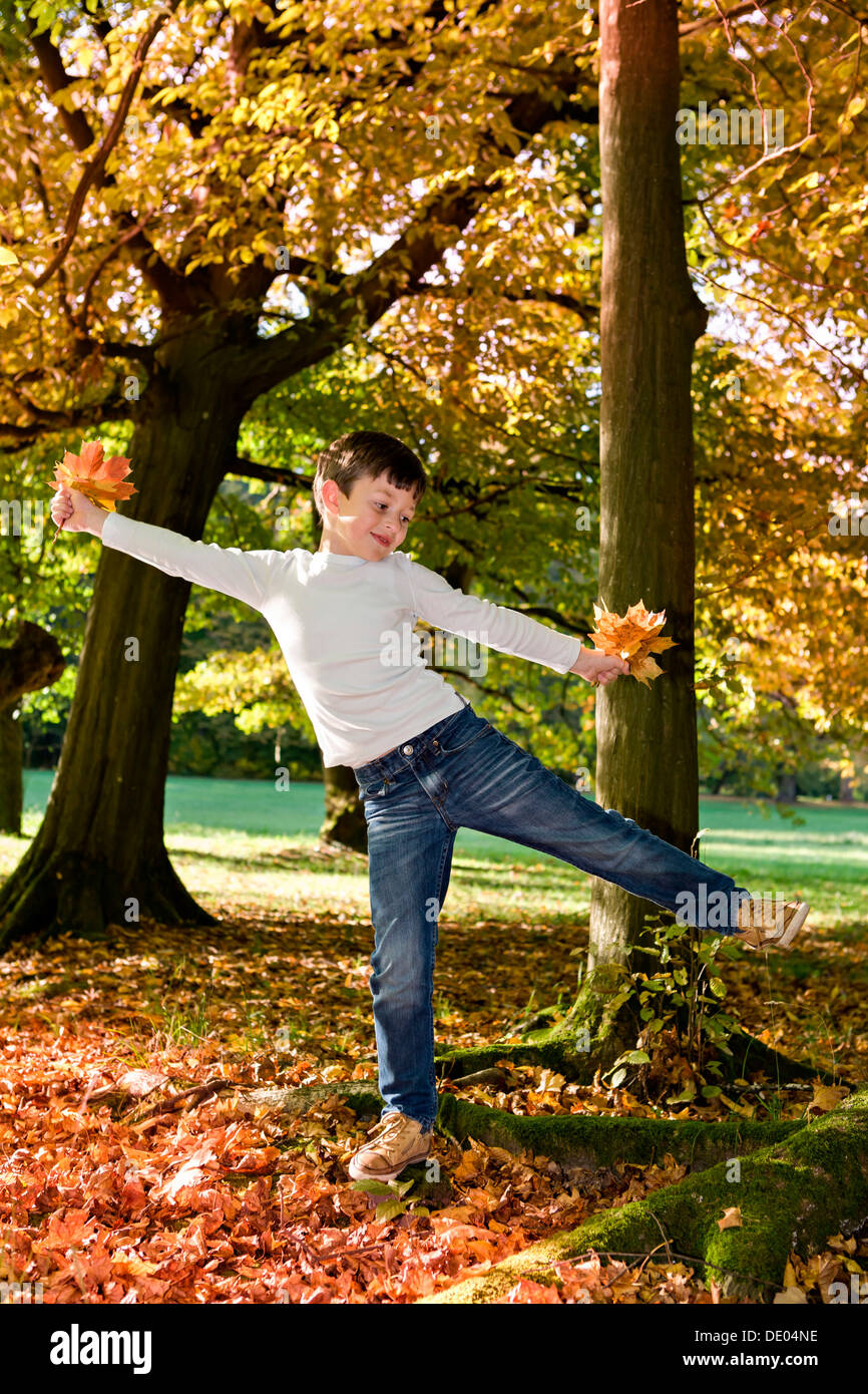 Boy holding autumn leaves, in autumnal park Stock Photo - Alamy