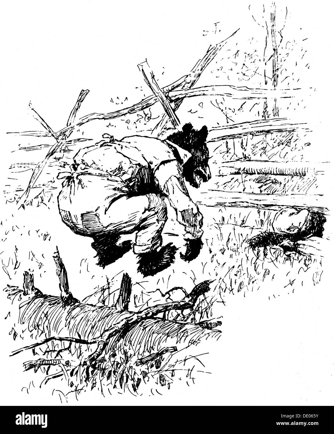 Illustration from the book The Complete Tales of Uncle Remus, by Joel Chandler Harris, 1895.  Artist: AB Frost Stock Photo