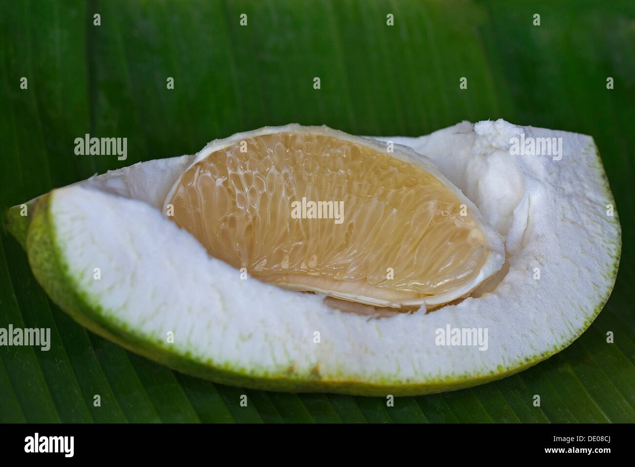 Segment of a pomelo fruit, on a banana leaf Stock Photo