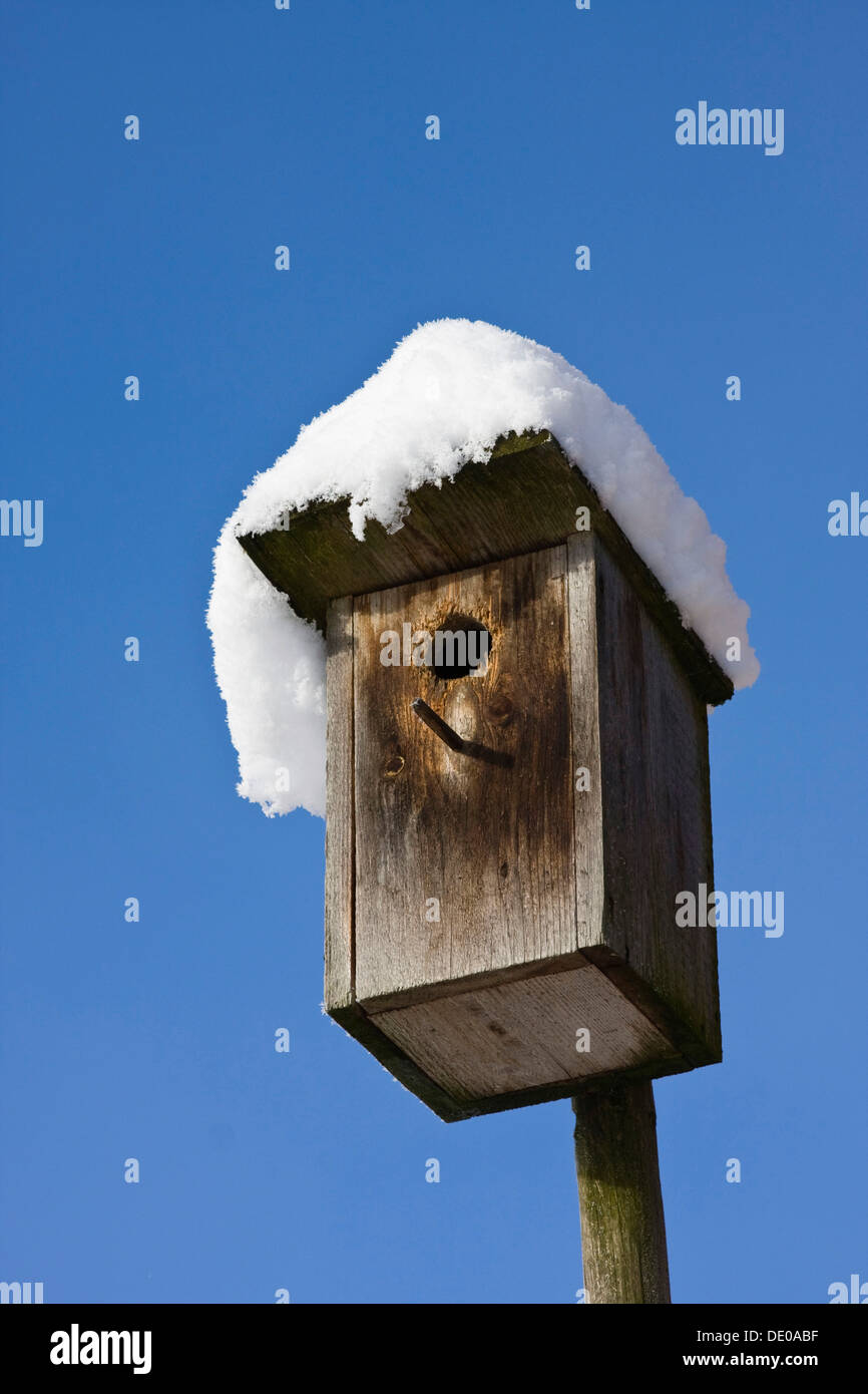 Nestbox in winter with snow, Bavaria Stock Photo