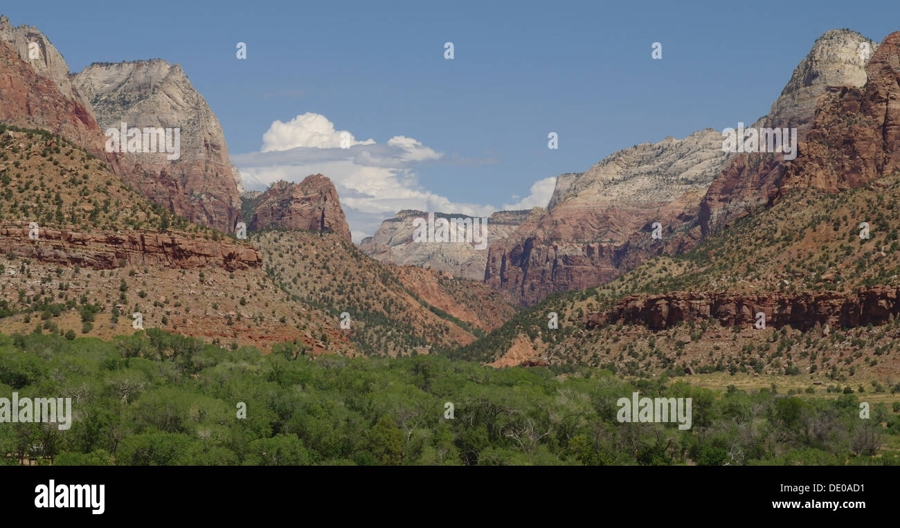 Blue sky view green trees valley floor north to Sentinel and East Temple from Archaeology Trail, Zion Canyon Visitor Centre, USA Stock Photo