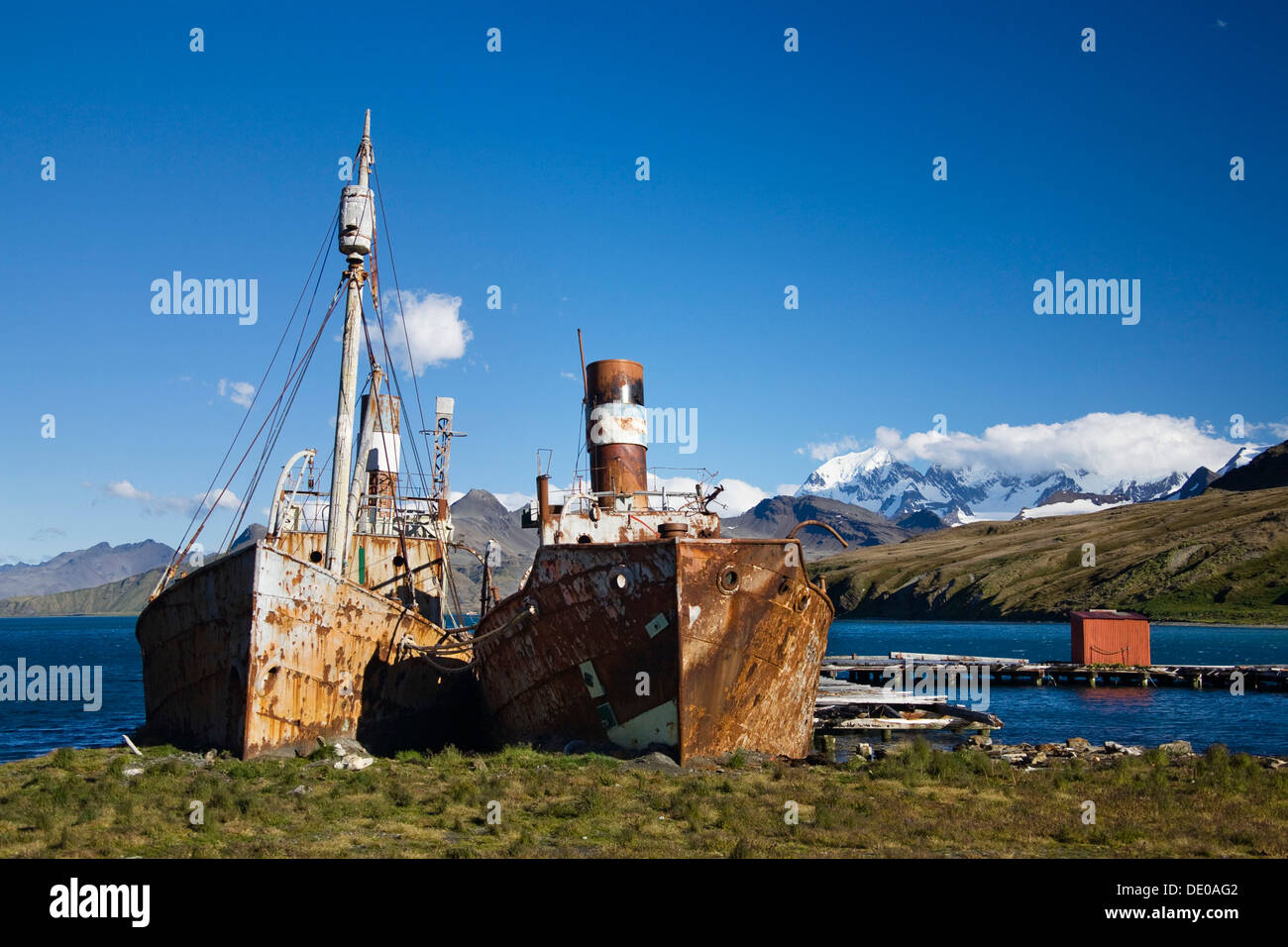 Wrecked whaling ships of the former whaling station of Grytviken, King Edward Cove, South Georgia, South Sandwich Islands Stock Photo