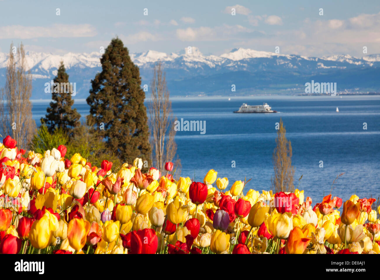 Ferry Meadows High Resolution Stock Photography and Images - Alamy