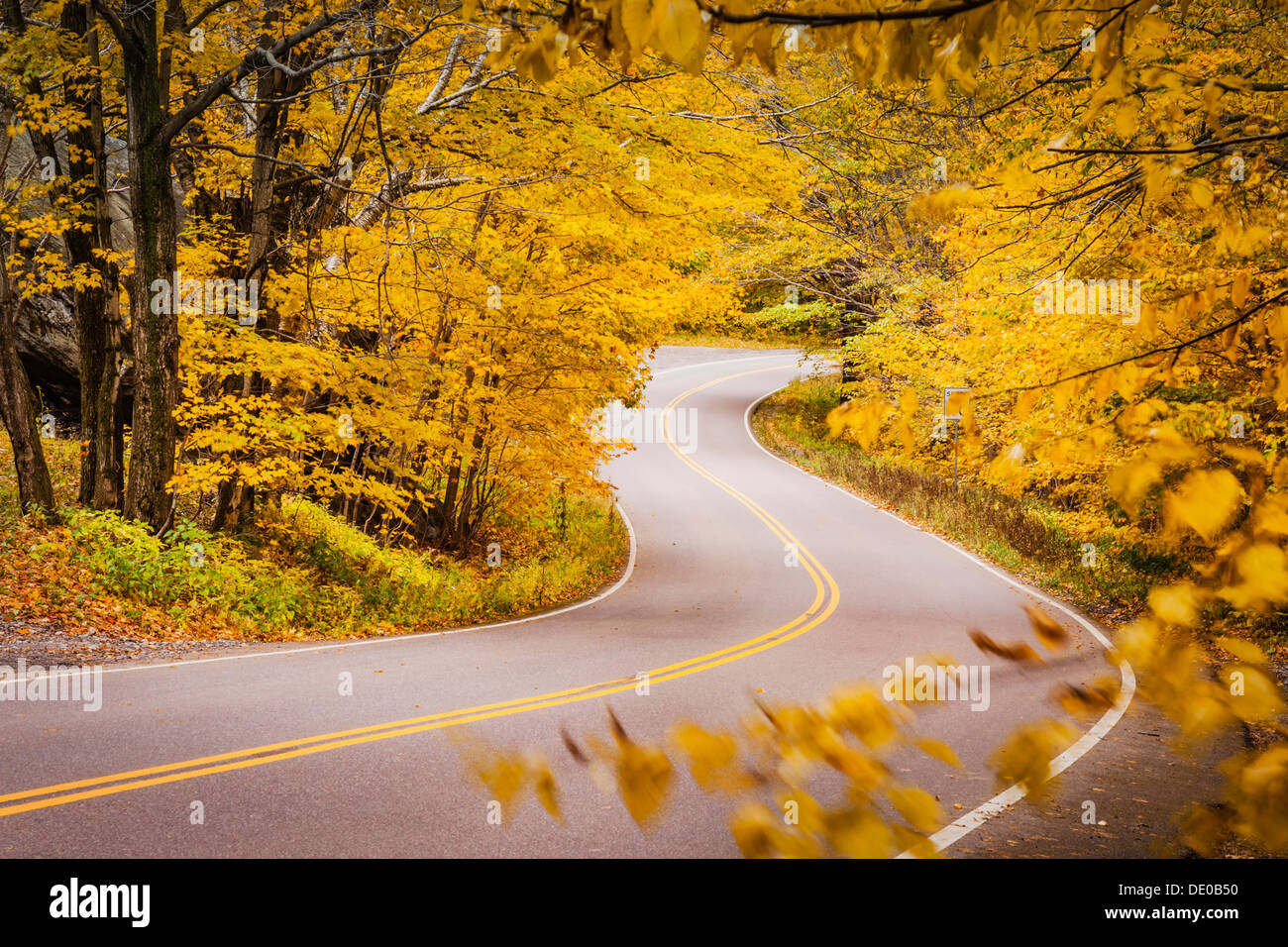 Curvy road in autumn near Smugglers Notch, Stowe, Vermont, USA Stock Photo