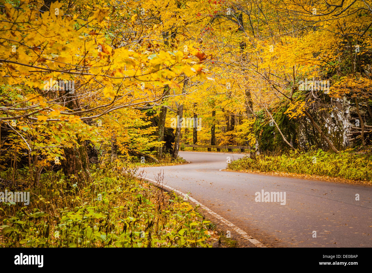 Curvy road in autumn near Smugglers Notch, Stowe, Vermont USA Stock Photo