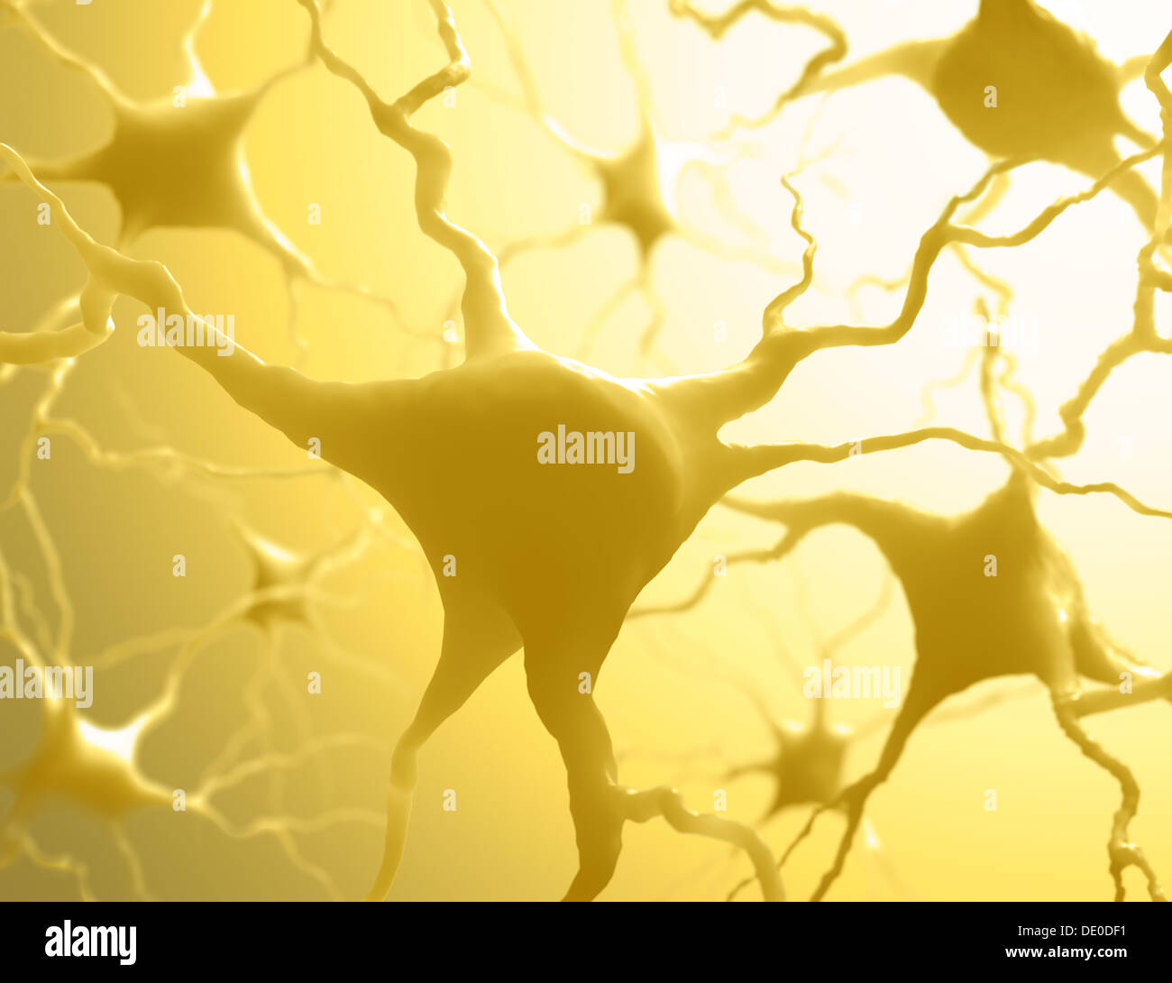 Inside the brain. Concept of neurons and nervous system Stock Photo - Alamy