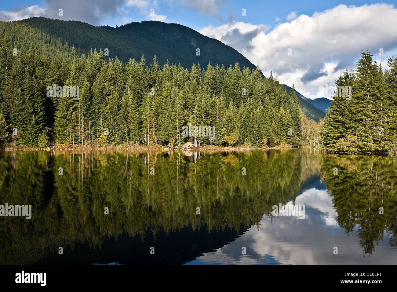 Views of the Rice lake. Rice lake, Lynn Headwaters Regional Park Stock