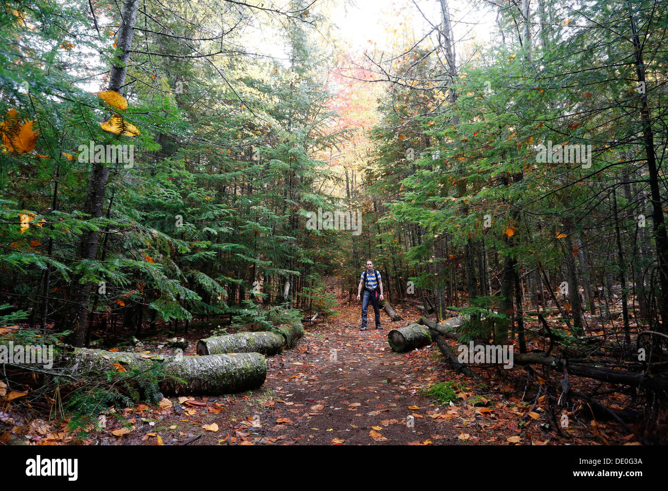 Hiker in the Adirondacks, Upstate New York, USA Stock Photo