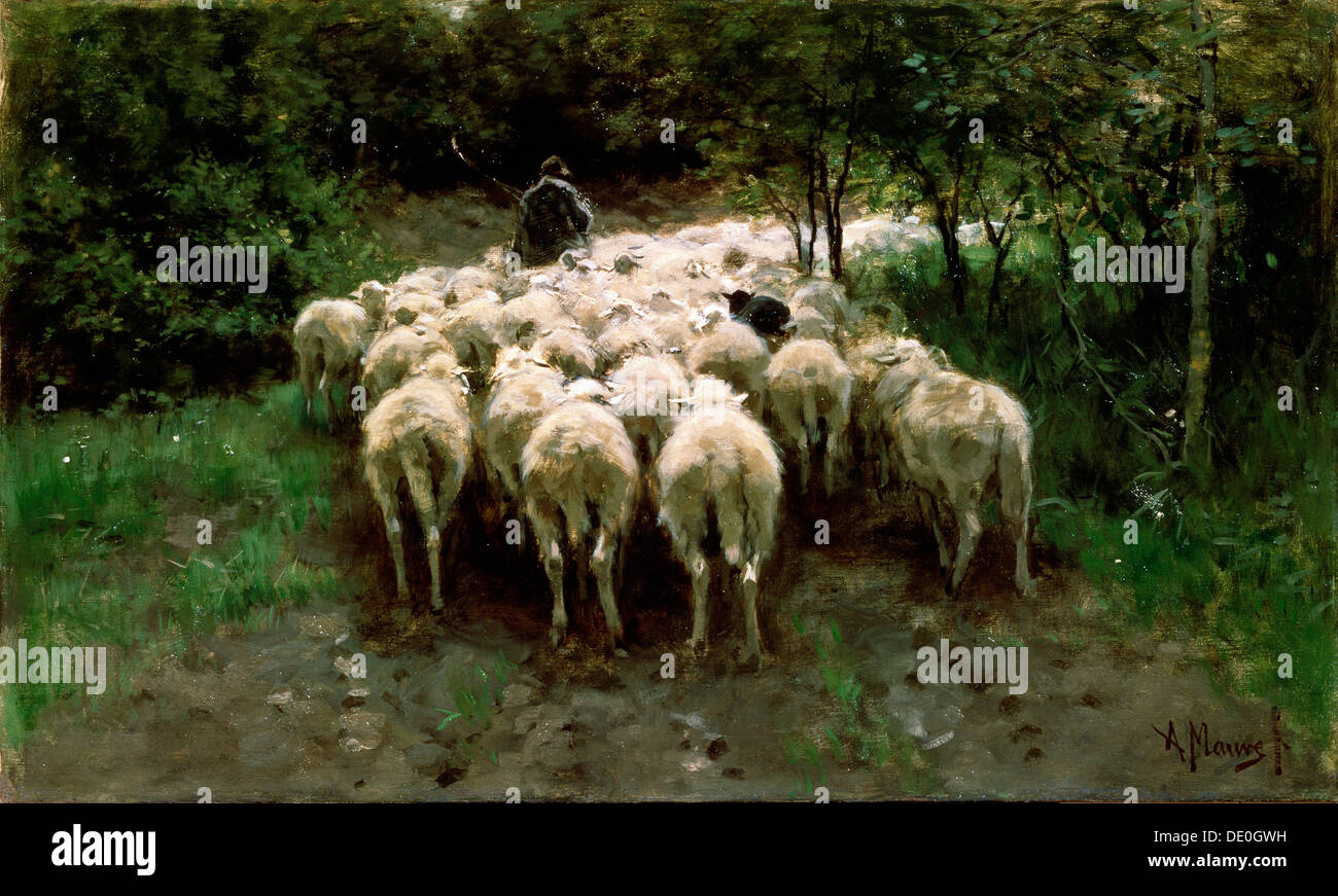 'Sheep in the Forest', 19th century.  Artist: Anton Mauve Stock Photo