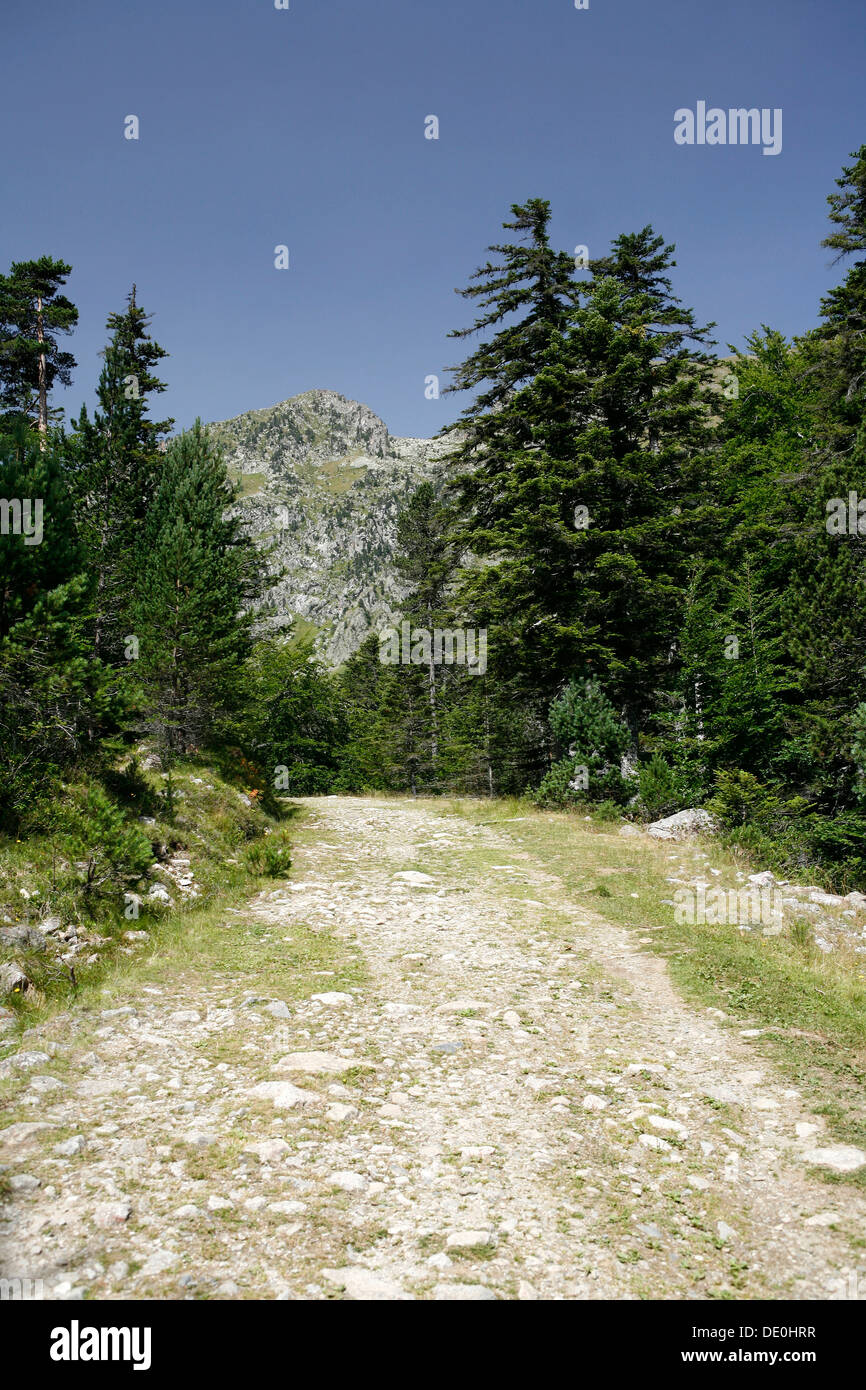 Hiking path in the Pyrenees, French Pyrenees, national park near Argeles-Gazost, Midi-Pyrenees region Stock Photo