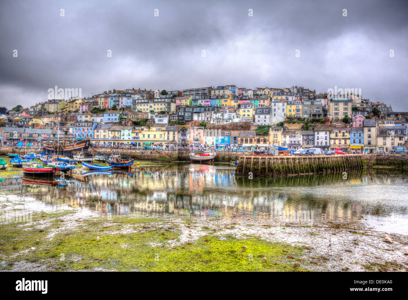 Green seaweed during low tide at Brixham fishing town in Devon England Stock Photo