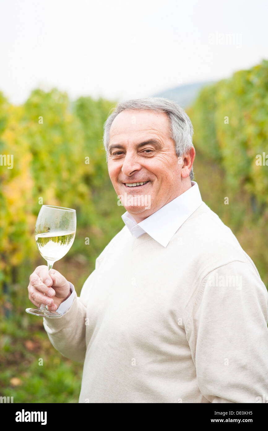 German White Wine Glass High Resolution Stock Photography and Images