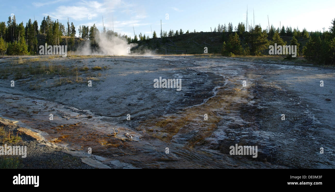 Blue sky view to green trees hill bacterial streams flowing sinter slope steaming Link Geyser, Upper Geyser Basin, Yellowstone Stock Photo