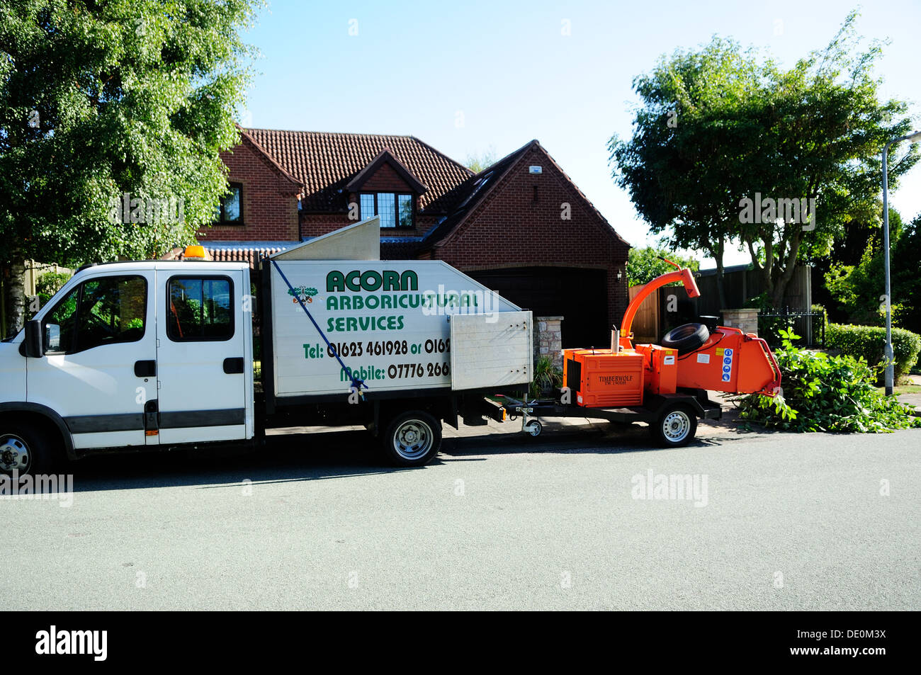 Aboricultral Tree Services. Stock Photo