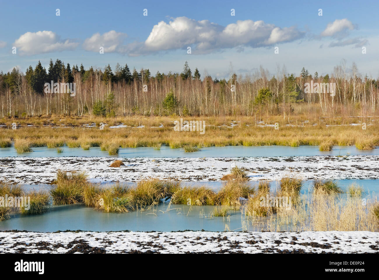 Moorland with frozen pond, near Rosenheim, Inntal valley, Bavaria Germany, Europe Stock Photo