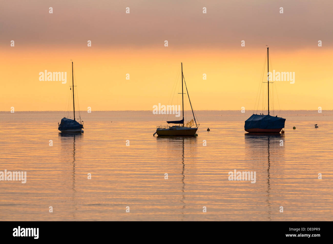 Boats on Lake Constance near Landschlacht in the morning, Switzerland, Europe, PublicGround Stock Photo