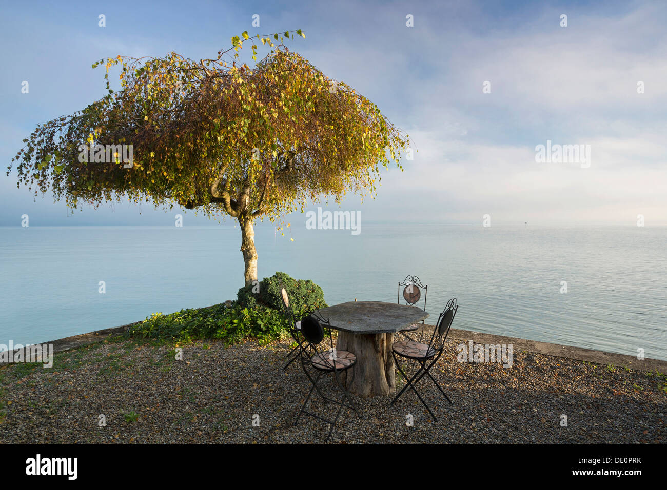 Garden furniture and a tree, early morning mood on Lake Constance near Landschlacht, Switzerland, Europe, PublicGround Stock Photo